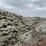 Photo taken by Jennifer M