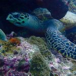 Photo taken by Judith D