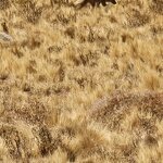 Photo taken by lynn o