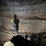 Photo taken by Adam H