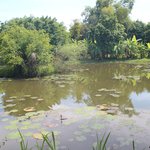 Battambang Resort | Photo taken by Bharat P