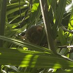 Photo taken by marisa s