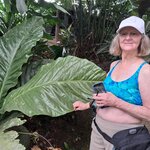 Photo taken by Linda P