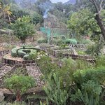 Photo taken by Jill T