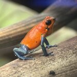 Photo taken by Sarah C