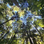 Photo taken by Mary K