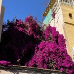 Photo taken by Christine S