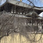 Photo taken by Kimberly M