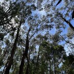 Photo taken by Amy Z