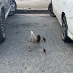 Photo taken by Don M