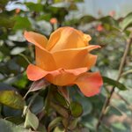 Photo taken by Scott M