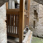 Photo taken by Fran s