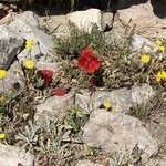 Photo taken by Cheryl L