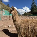 Photo taken by Lindsey B