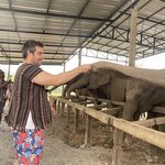 Photo taken by Agustin D