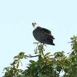 Photo taken by Graeme W