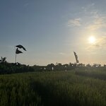 Photo taken by Valentina M