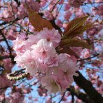 Photo taken by Taylor B