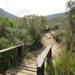 Photo taken by Kristin M