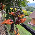 Photo taken by Michael L