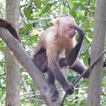 Photo taken by Brett F