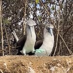 Photo taken by Sofia W