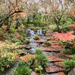 Photo taken by Zulhelmi R