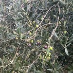 Photo taken by Mary H