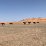 Photo taken by Rachel R