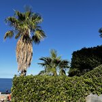 Photo taken by Martha D