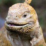 Photo taken by mindy n