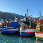 kalk bay | Photo taken by lilia s