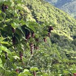 Photo taken by Lisa S