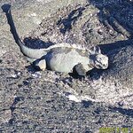 Photo taken by Richard P