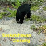 Photo taken by Leonila Q