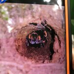 Photo taken by ted m