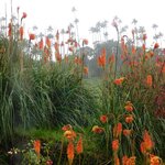 Photo taken by Brett F