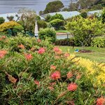 Photo taken by Daniel S