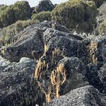 Photo taken by Michael L