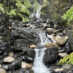 Photo taken by lynn o