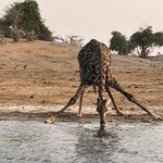 Photo taken by Janie W