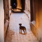 Photo taken by Colin M