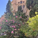 Photo taken by Carla W