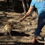 Photo taken by Della O