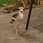 Photo taken by Shannon R