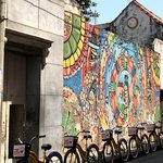 Photo taken by Sophie E