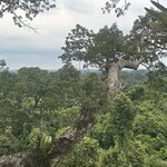 Photo taken by Mark A