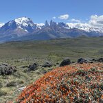 Photo taken by Carmen P