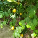 Photo taken by BARSHA C