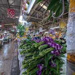 Photo taken by Natalia D